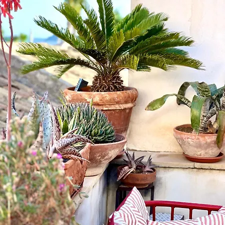 Dom wakacyjny Albaria *