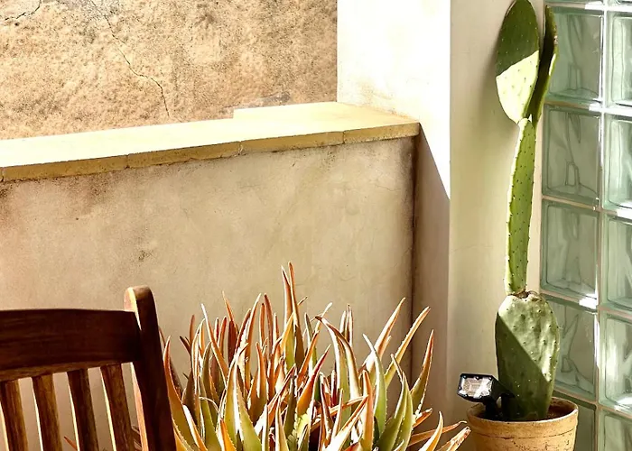 Albaria Casa de Férias Birgi Vecchi